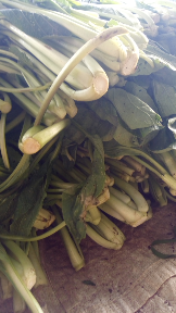 sedia sayur caisim langsung dari petani bisa langsung di cek tempat...