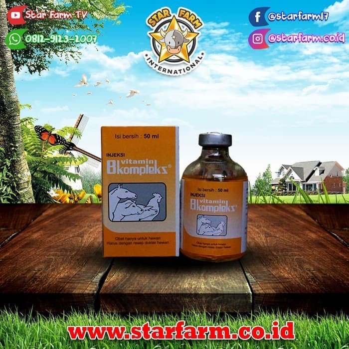 Vitamin B Kompleks 100ml Injeksi - Star Farm Bogor 
