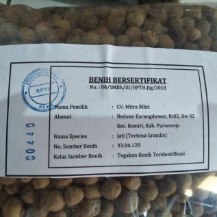 Biji/Benih Jati 