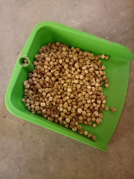 jual kapulaga kering