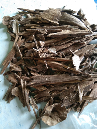 Gaharu sumatera super