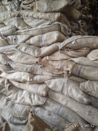 jual karung goni dan sak plastik