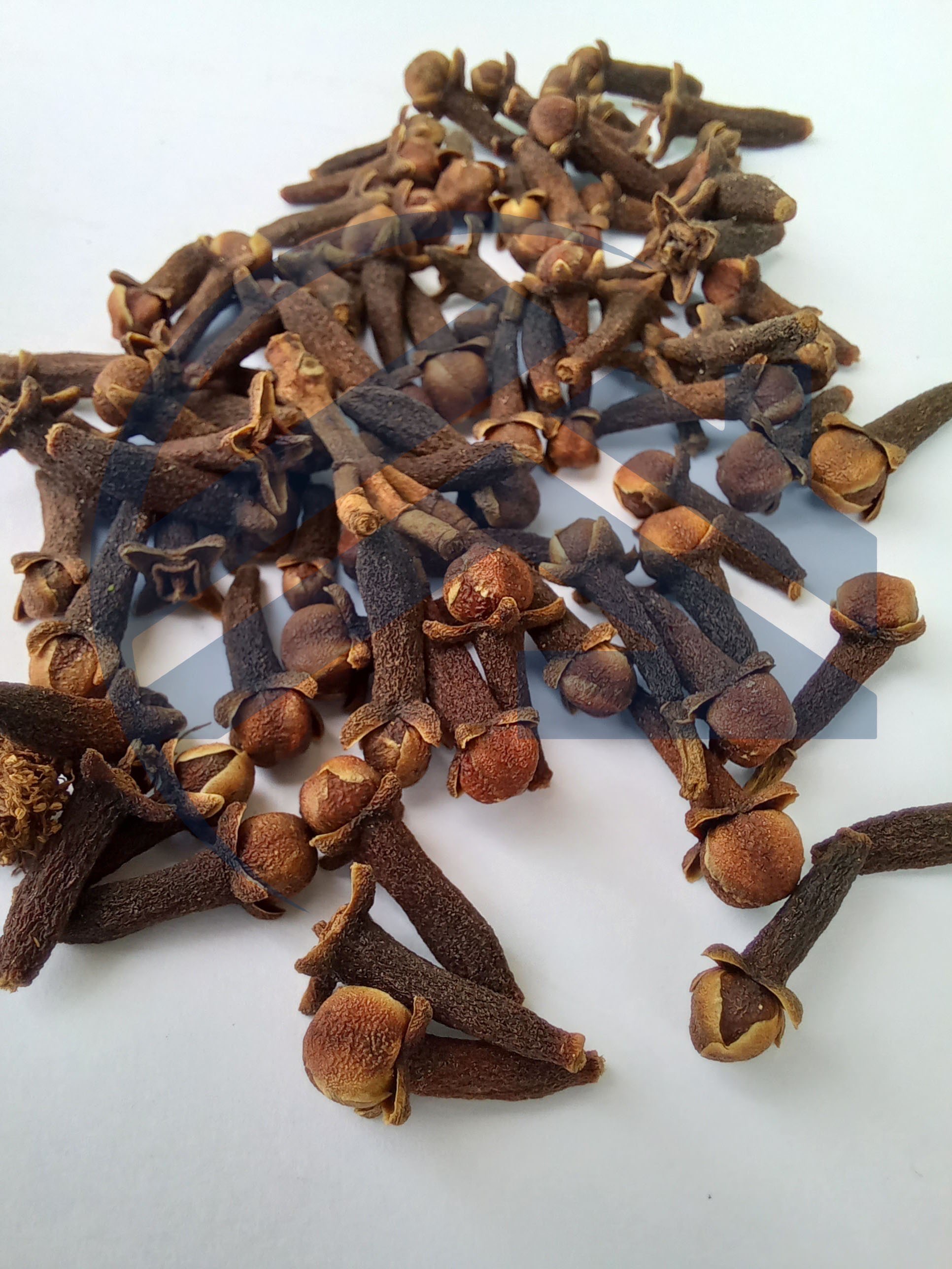 Cengkeh Kering Premium