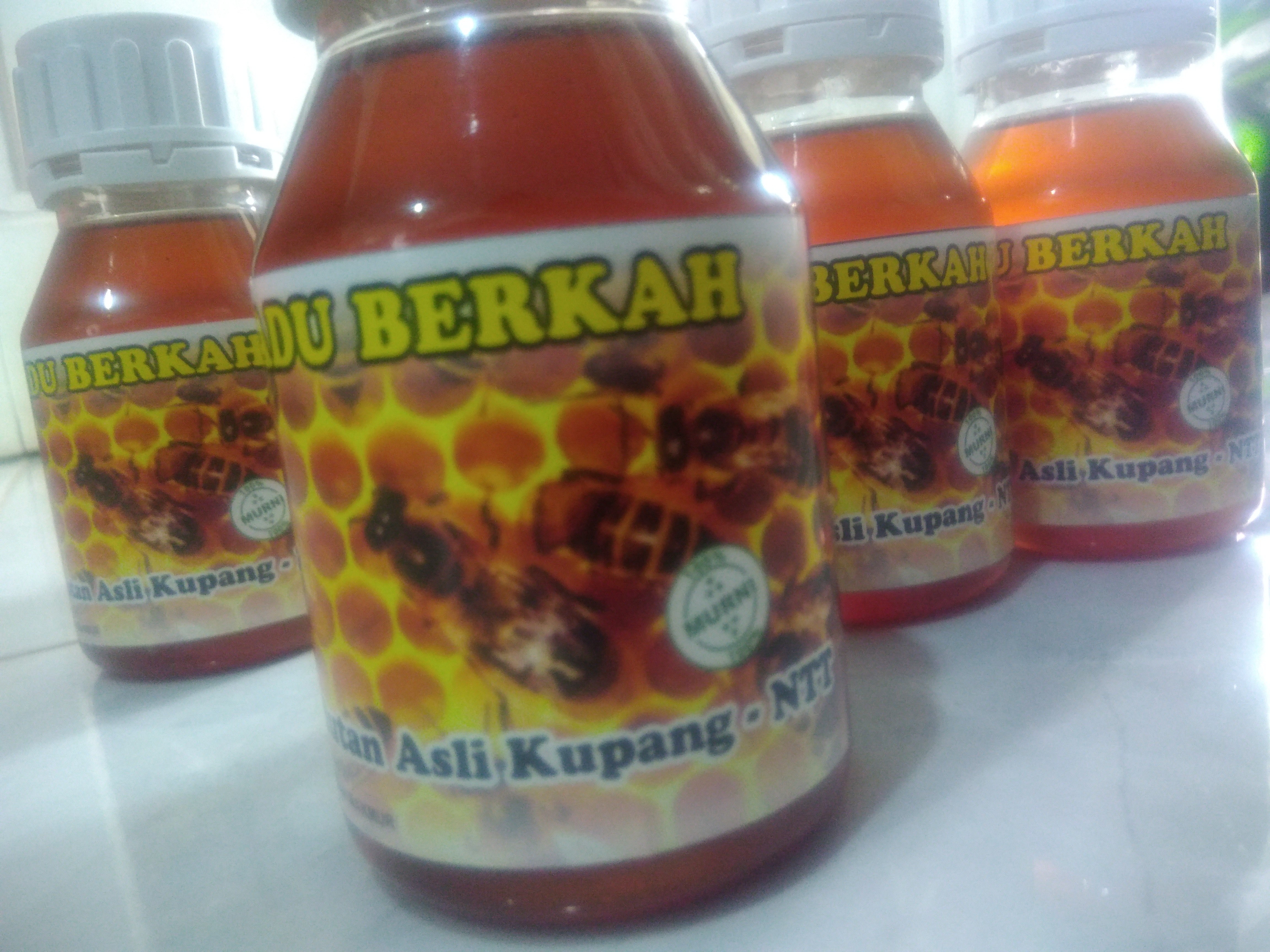 MADU LEBAH HUTAN KUPANG  (murni 100%)