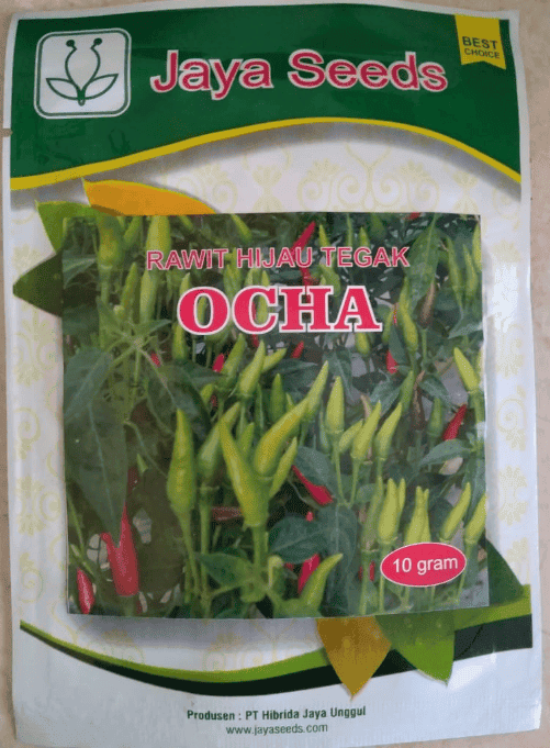 CABAI RAWIT HIJAU TEGAK Varietas OCHA - 100 gr