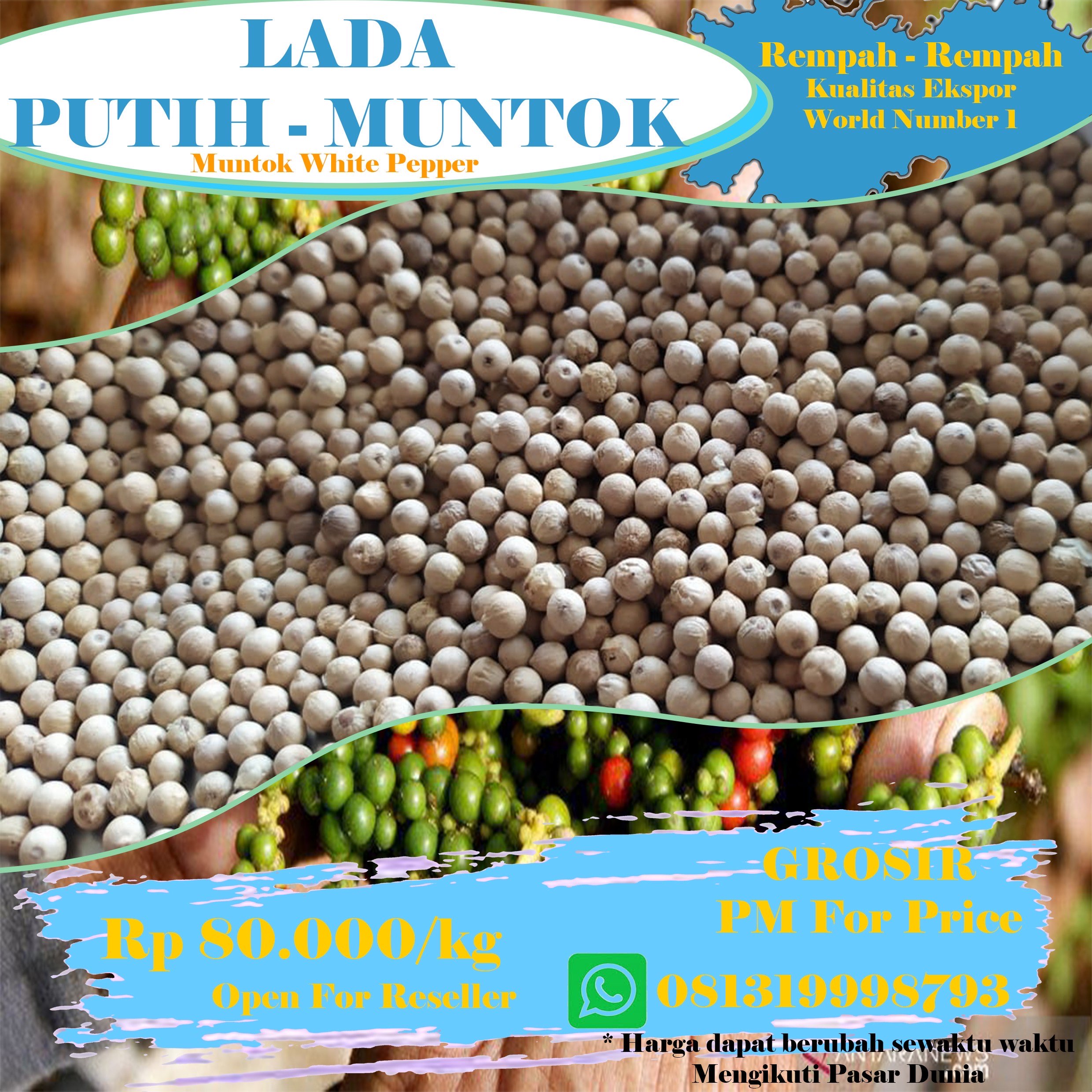 Muntok White Pepper - Lada Putih Muntok - Bangka