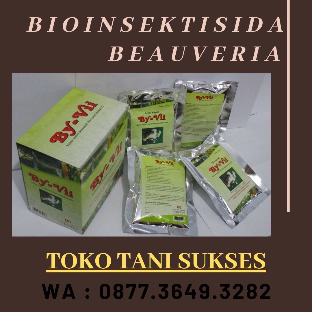 Bio Insektisida   ( agensia hayati) merk : By-Vii