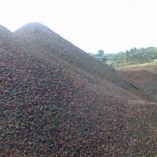 Cangkang kelapa sawit 