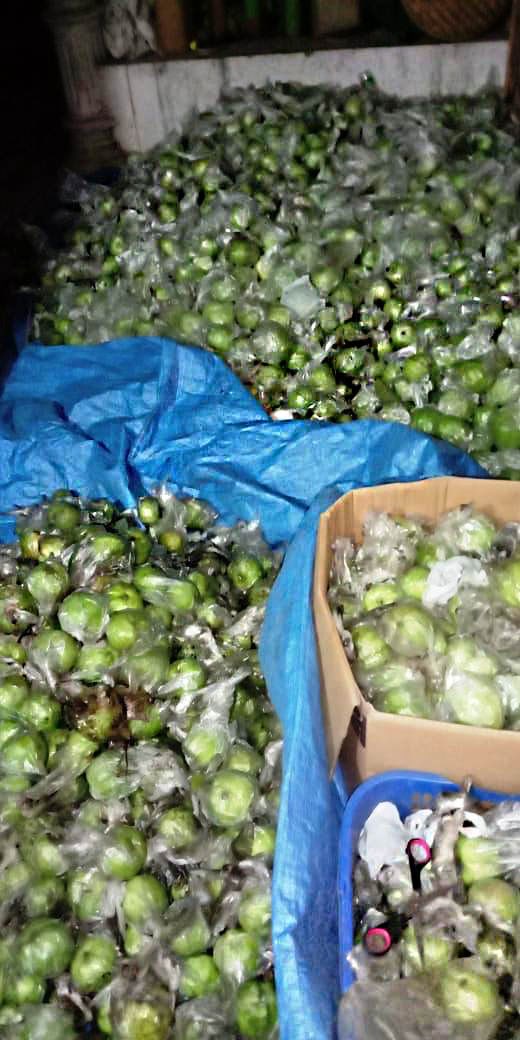 Jambu Kristal | Guava Crystal |