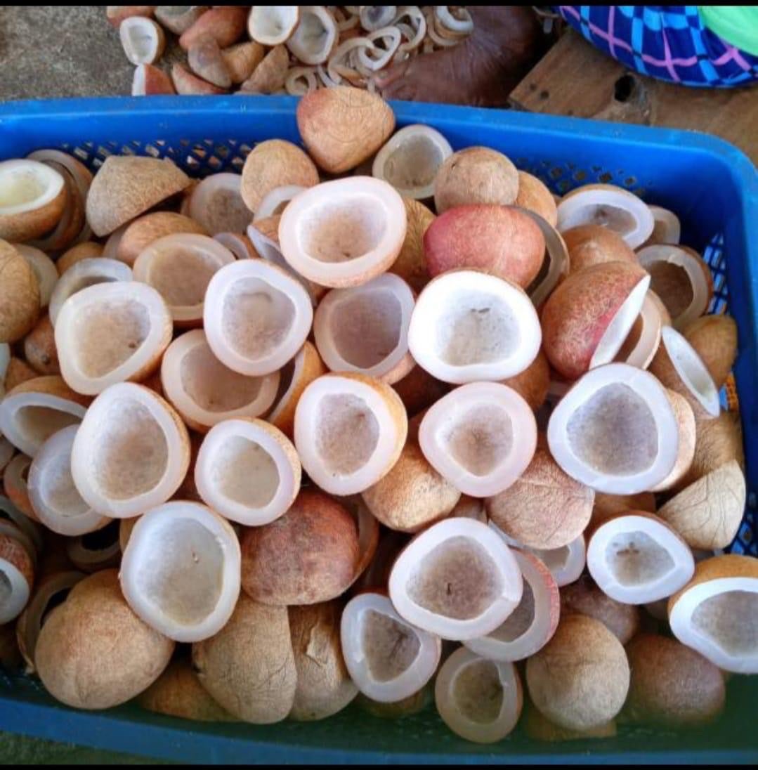 [Supplier] Kopra Edible & Reguler