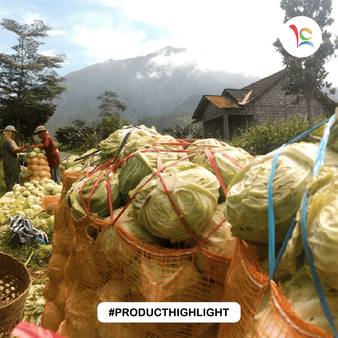 Waring Sayur Murah, Cocok untuk Packing Panen Buah dan Sayur