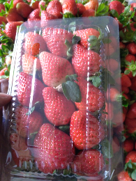 strawberry nya bos