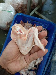 Hati ampela, Rongkong, Ceker, kepala, Kulit, Tulang Paha, Sayap Dll. Produk sampingan Ayam besar (2Kg Up),
