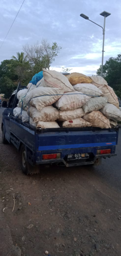 jual temulawak basah