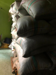jual cengkeh