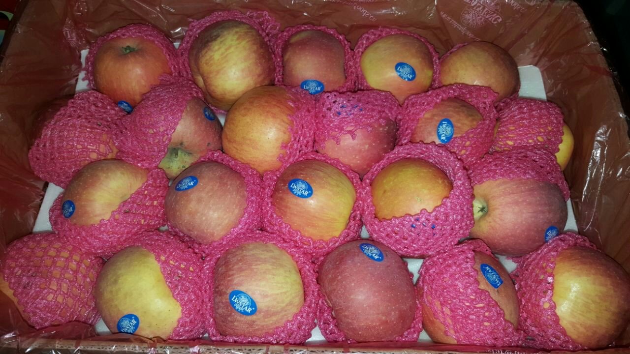 Distributor buah dari gudag