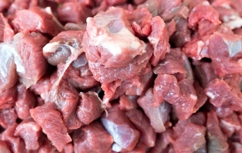 Supllier daging Kambing dan kambing hidup