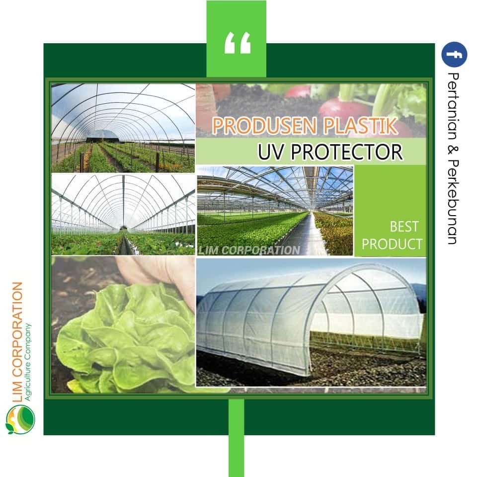 Plastik UV Greenhouse