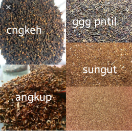 cengkeh