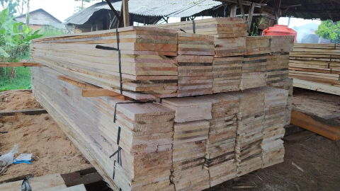 kayu lokal