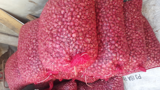 bawang merah