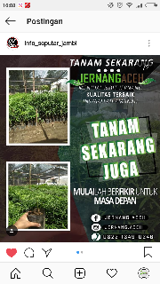 jernang aceh