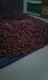 bawang merah brebes