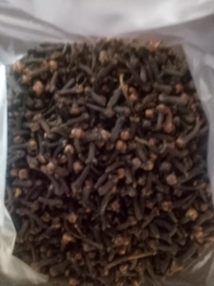 cengkeh temanggung dan Tulungagung