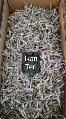 Ikan Teri Super