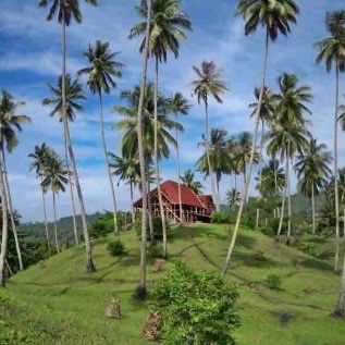 Jual Tanah Bangunan di LEMBEH LAND-Menado