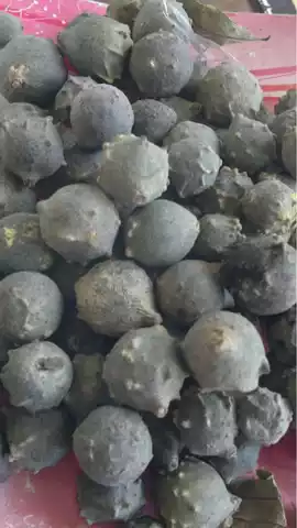 kemukus super kwalitas eksport