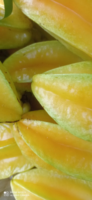 Belimbing Madu