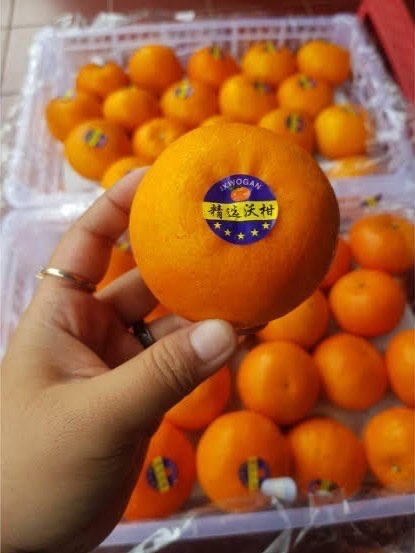 Sunkist Navel Premium