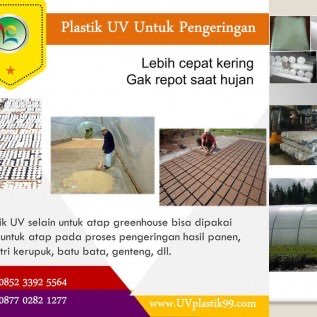 Plastik UV 6% Untuk Penjemuran Kopi