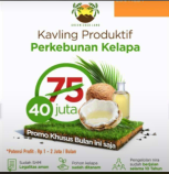 Kavling Produktif Perkebunan Kelapa 500m2