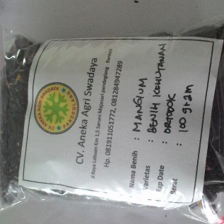 Benih Mangium (akasia)
