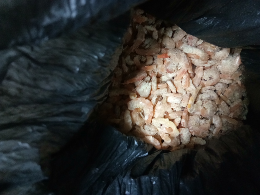 udang kering (ebi)