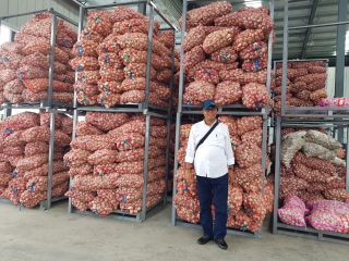 BAWANG PUTIH