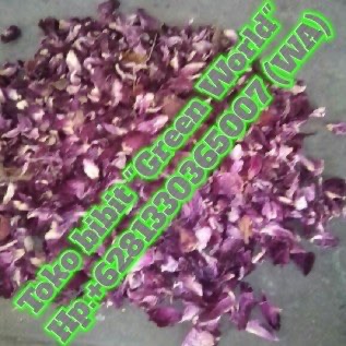 Jual bunga mawar merah kering