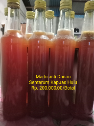 Madu Lebah