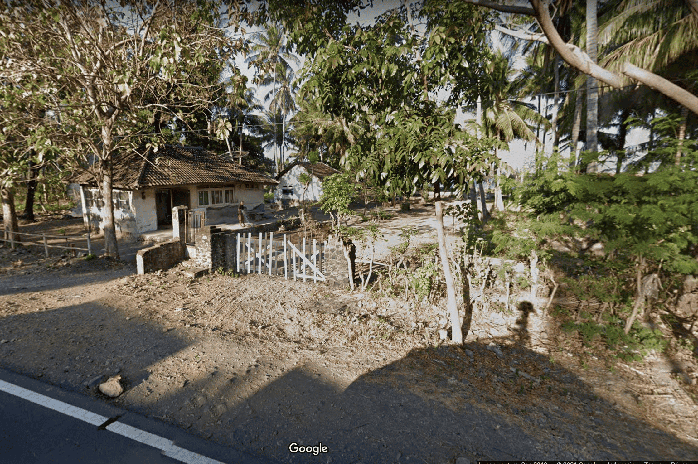 Kebun Kelapa Dijual di Jawa Timur