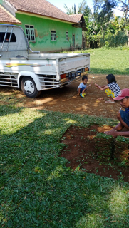 jual rumput taman pandaan kwalitas no 1