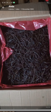 Dijual Vanili kering