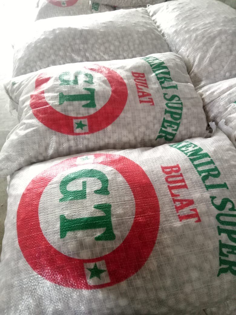 Kemiri Sumatera Utara  !! SUPER !!