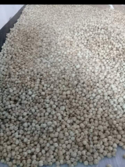 Kapulaga kering super