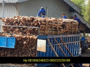 Jual kayu dolken gelam di jawabarat