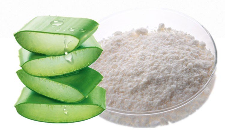 LIDAH BUAYA POWDER