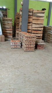 ready telur ayam area aukoharjo