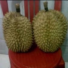 Durian Montong Palu