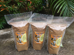 gula semut / gula kawung
